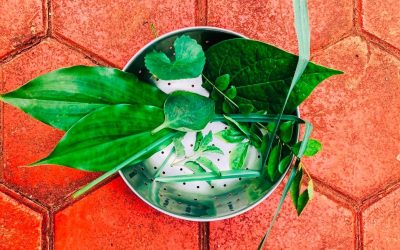 Detoxifying Green Juice By Reshma Kane Pallod